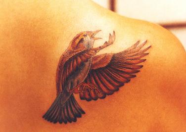 tatu4_8.jpg (14.45 Kb)